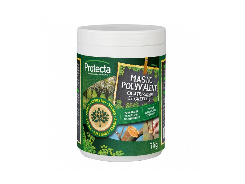 PHYTOPAST-G mastic arboricole 1kG cicatrisation et greffage.
