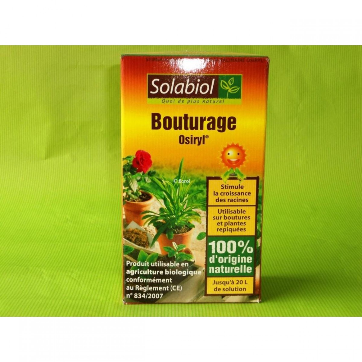 SOLABIOL Activateur de compost coup de fouet SOLABIOL