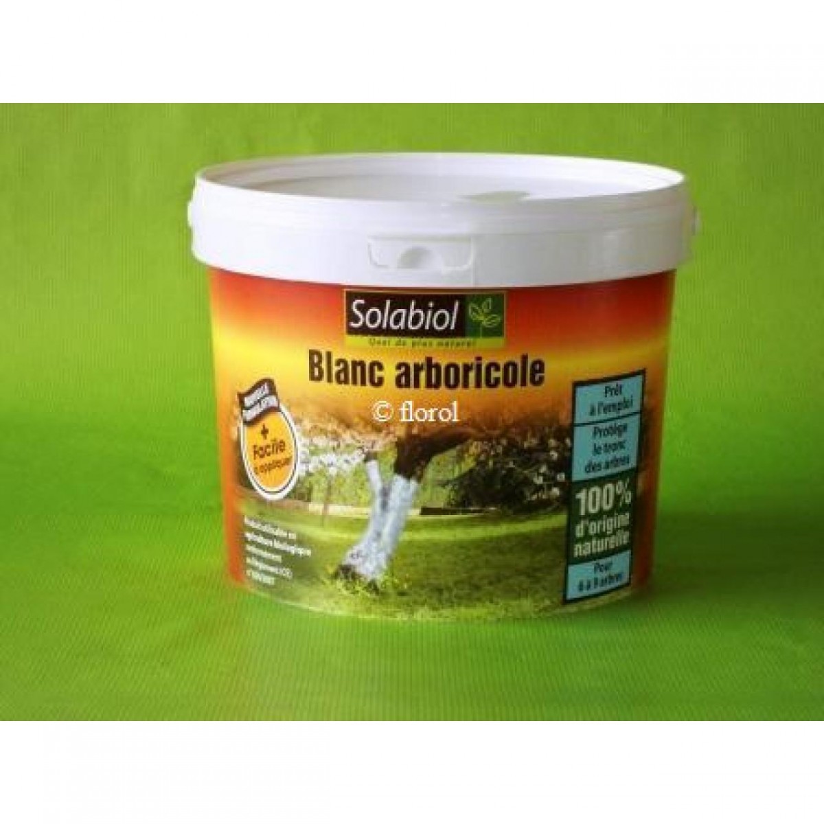 Cire de plaie pour arbres, produit de cicatrisation pour le traitement des  bois d'ornement et de fruit, stérilisation et antisepsis - 500 g :  : Jardin