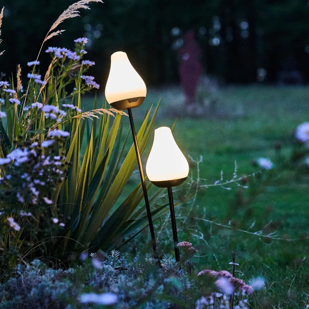 LUMIX SOLAR FLOWERS TULIP FLEUR SOLAIRE LUMIERE